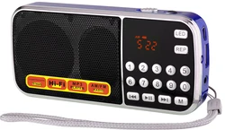 Dewant L-088AM am fm pocket radio, gurbani radio with usb and memory cards slot