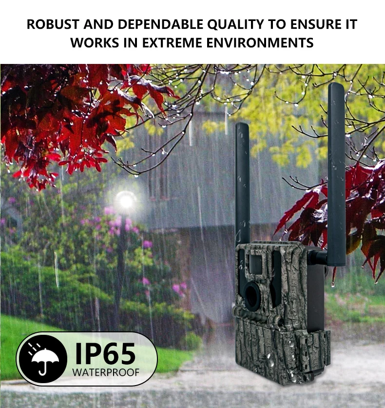 KW897 Wireless Dual-Antennas Hunting Camera GSM 4G Night Vision Remote Control Waterproof 2K Video Resolution SD Memory CMOS