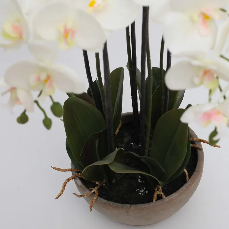 Hot sale high quality faux real touch phalaenopsis Artificial White Phalaenopsis orchid flowers in black ceramic vase