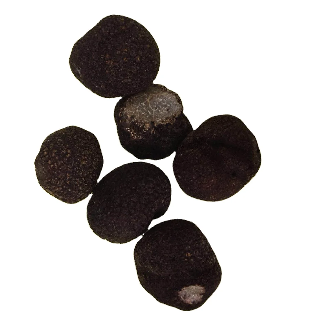 2023 - 2024 Early Stage New Season Premium High Quality DETAN Tuber Indicium Wild Chinese Fresh Black Truffle Mushroom
