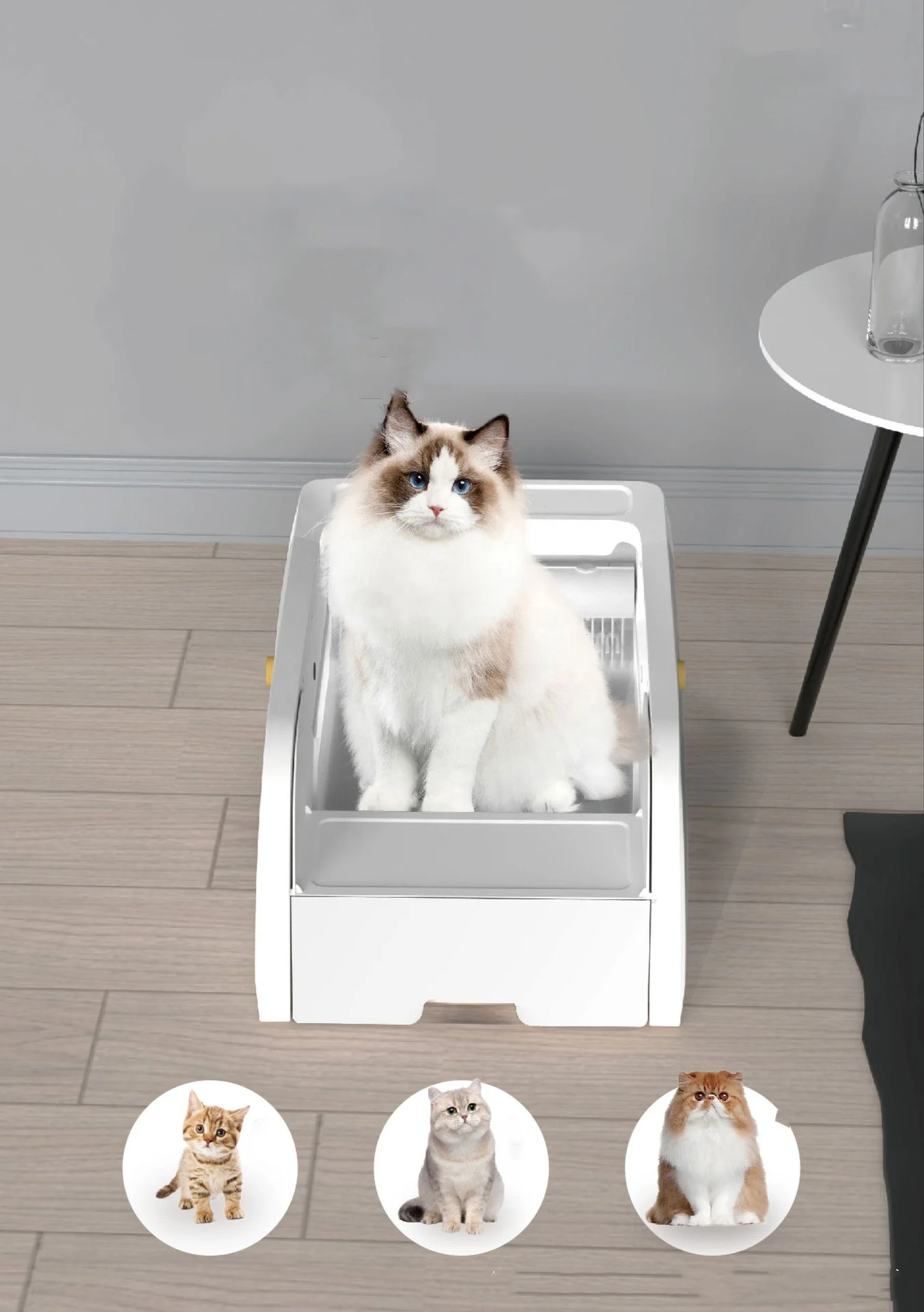 Customizable New Design Semi Open Self-cleaning Litter Box Infrared Sensing Delayed Cleanup Automatic Cat Litter Box