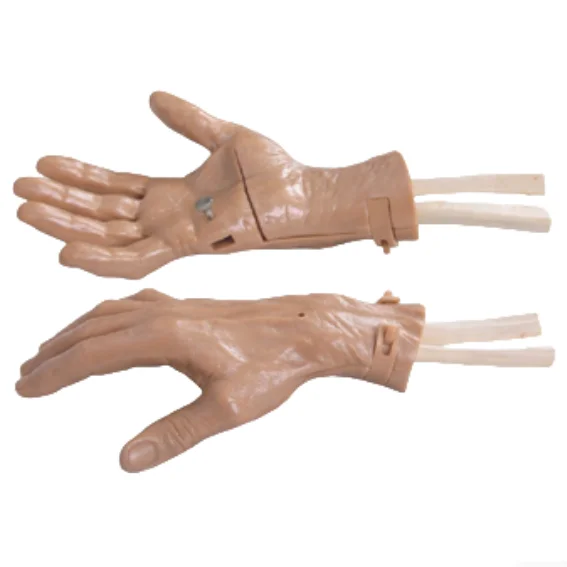 ADA-LV49 Wrist Arthroscopy Model