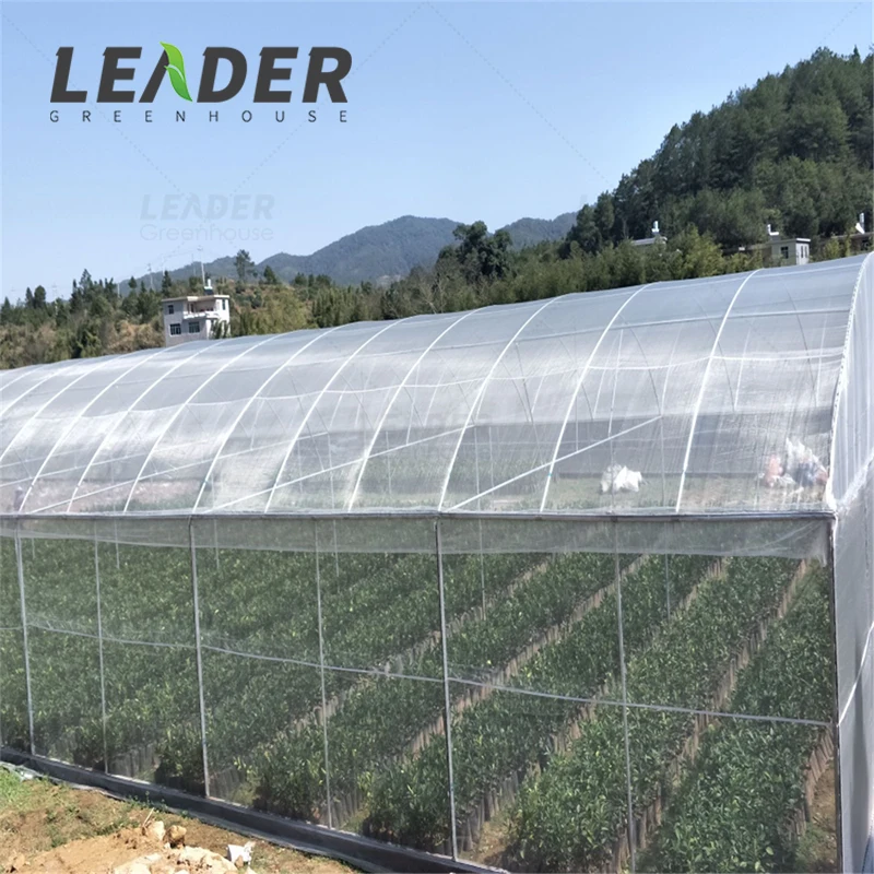 Greenhouse HDPE Net Various Mesh UV Stabilized Warp Knitted Anti-Insect For Agriculture Block Out Tobacco Whitefly