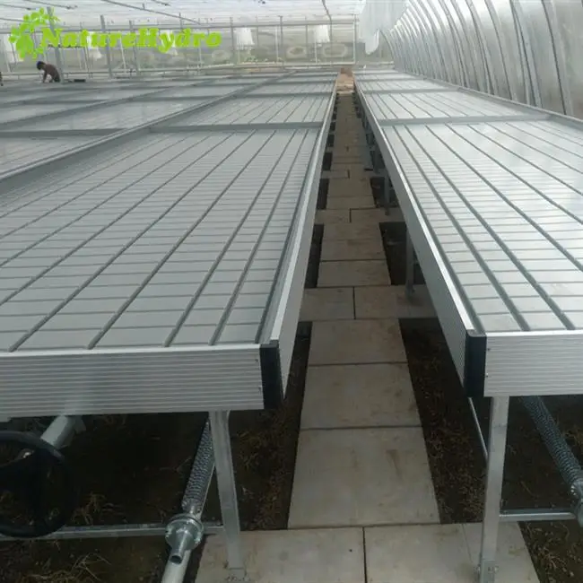 
Hydroponic large plastic seed tray flood seed starter tray 