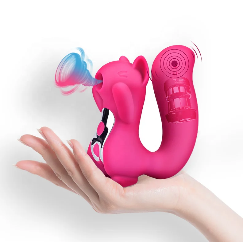 ISO BSCI Factory wholesale USB charging vagina masturbator female strong suction clitoral sucking sex toy squirrel vibrator