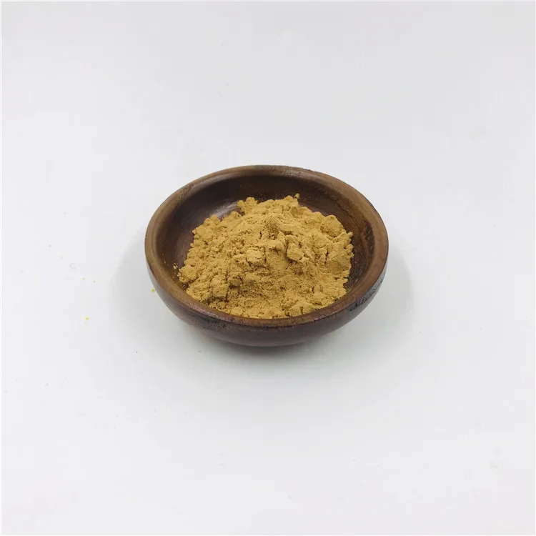 Healthcare Supplement 25% 75% Gymnemic Acid Gymnema Sylvestre Leaf Extract Capsules Gymnema Sylvestre Extract