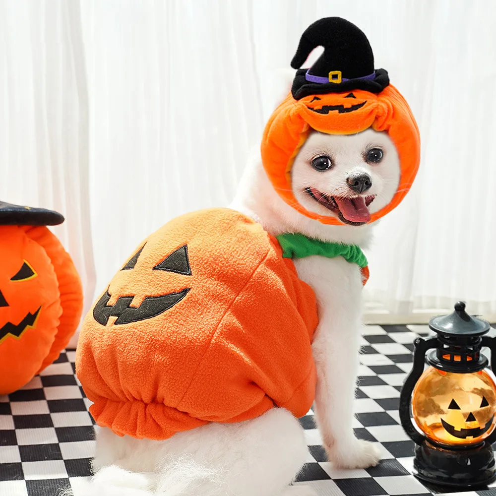Halloween Holiday Pumpkin Lights Transformer Costume Spooky Cat Pet Dog Clothes