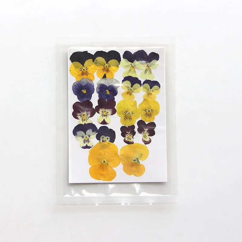 18pcs/pack Pansy/Violet/Viola Pressed Flower Mix Colors Bag For Wax Seal Epoxy Resin Jewelry Phone Case And DIY Craft