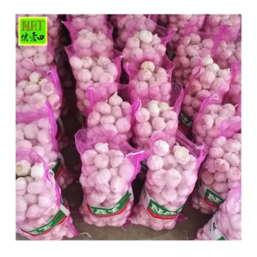 Wholesale Chinese Normal White Garlic in 20kg Mesh Bag Organic and GLOBAL GAP Fresh Peeled garlic with Best Price for export