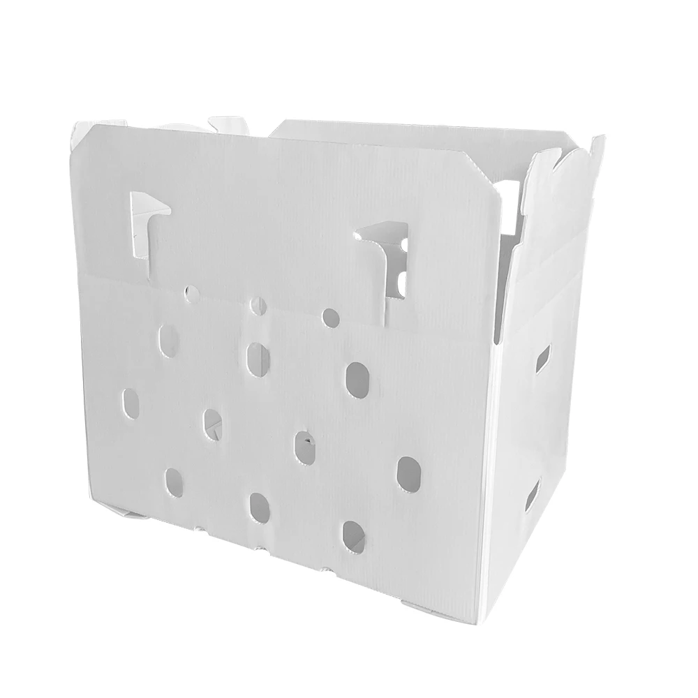 China Factory Wholesale Waterproof Folding Corrugated Plastic Boxes Pp Hollow Vegetables Boxes