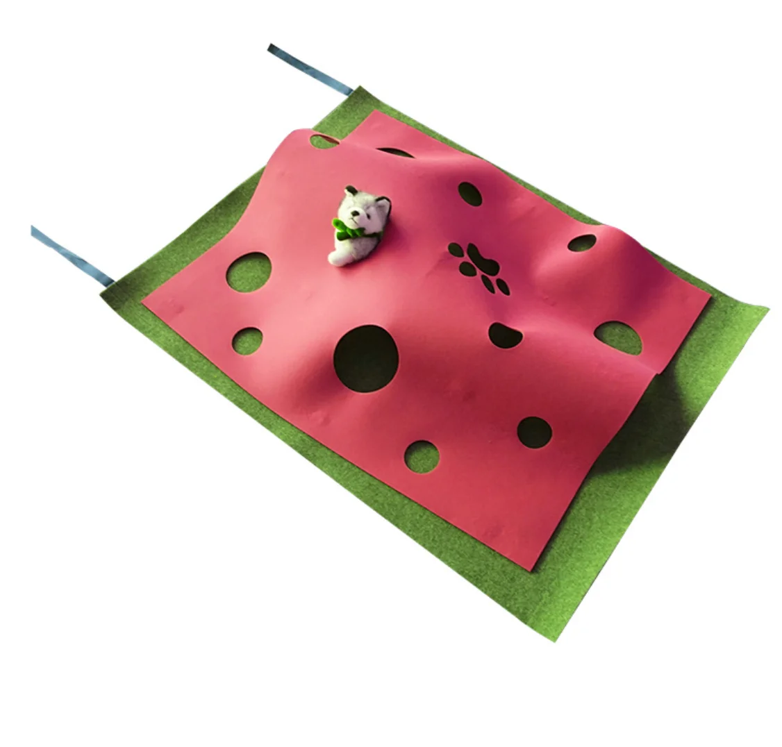 Amazon Hot Sale Removable Washable Cat Toy Set Bed Mat Tunnels for Grinding Claws