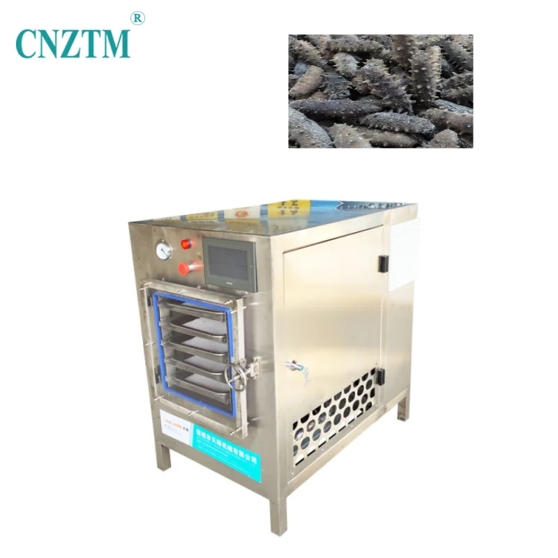 Vacuum Drying Machine Price home freeze dryer Dried Fruit Powder Chilli Milk Coffee Flower Vegetable  Freeze Dryer