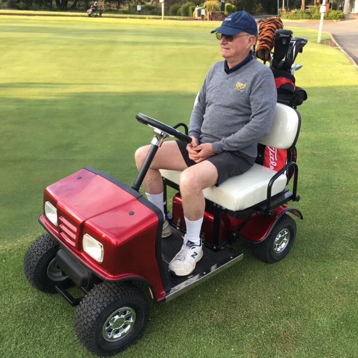 Curtis controller cheap kids racing golf cart for sale