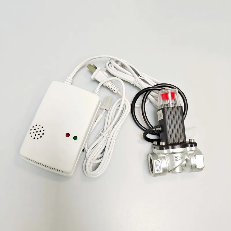 Wholesale Home Fire Safety Gas Leak Detector Alarm AC100-240V Natural Gas LPG Gas Detectors with Solenoid Valve