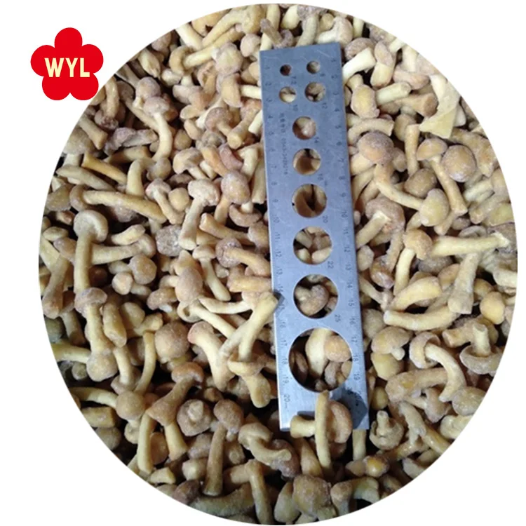 Новый сезон высокого качества замороженные грибы Nameko