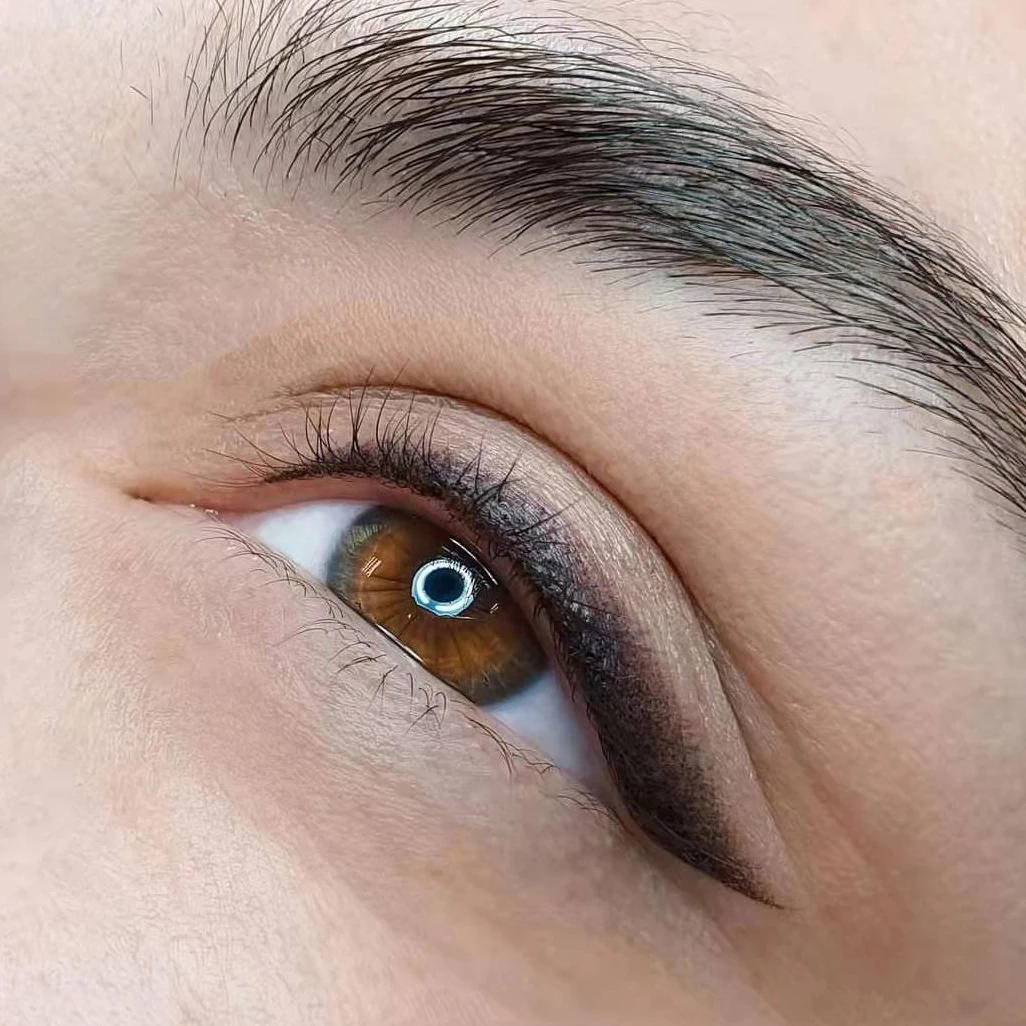 Permanent Makeup Pigment Ink for Power Nano Brow Best Tattoo Ink