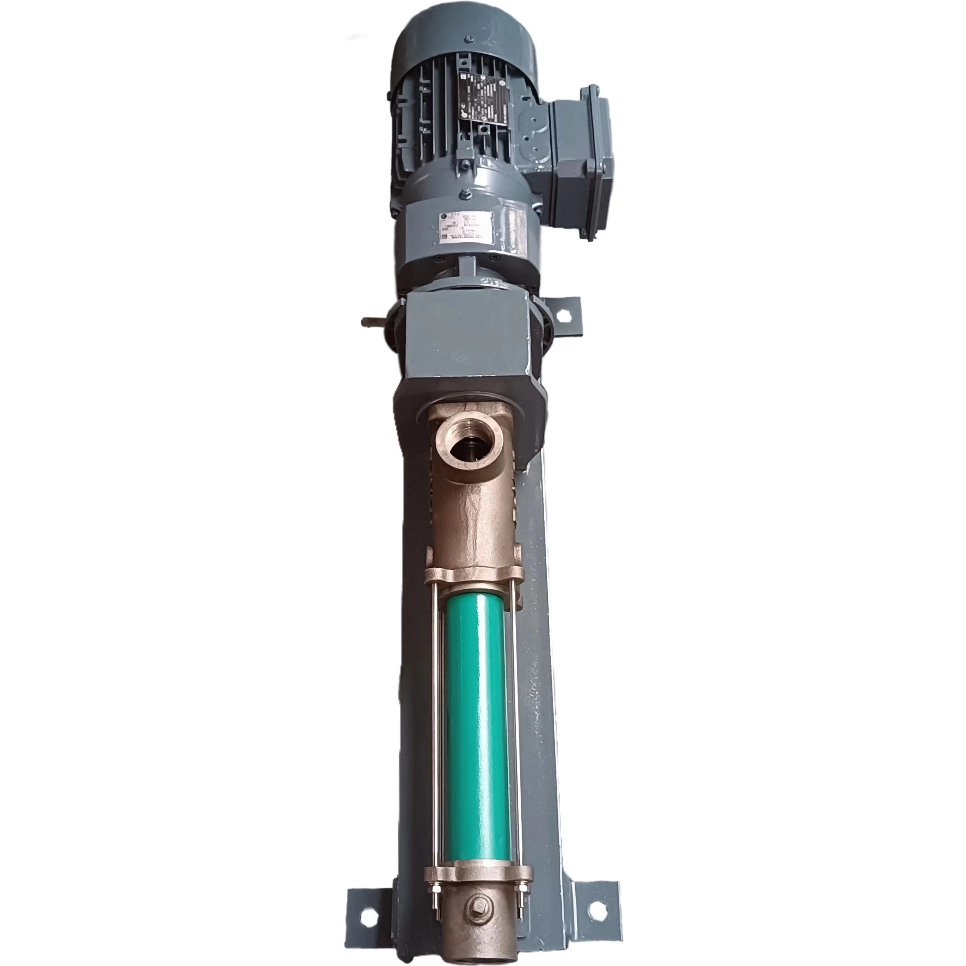 RoNice  as Netzsch NM021BY01L06B Screw Pump for flocculant solution