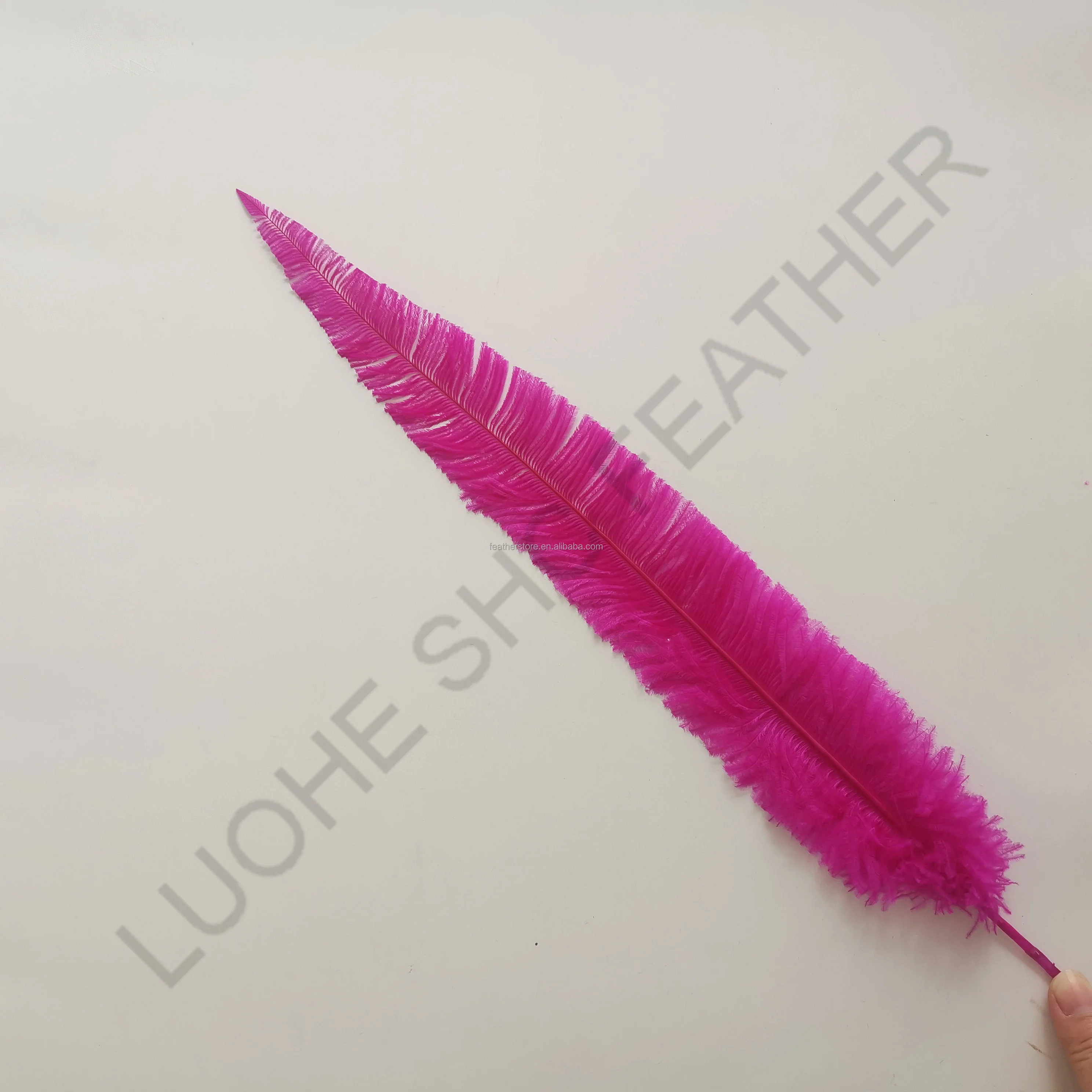 High Quality Ostrich Nandu Feather trimmed ostrich feather Any colors for cheap sale