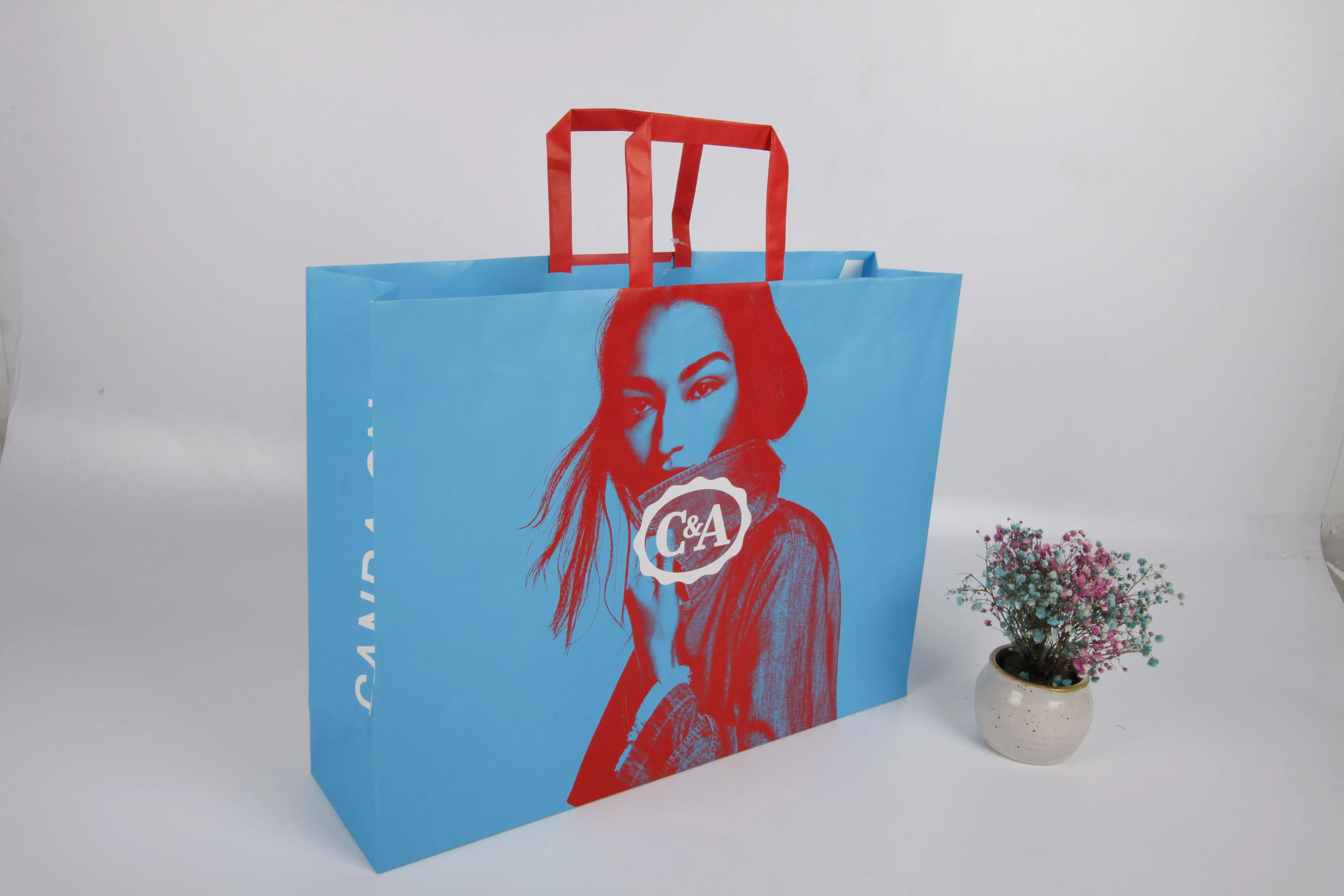 Promotional Paper Shopping Bags color Kraft Paper Carrier Bag price