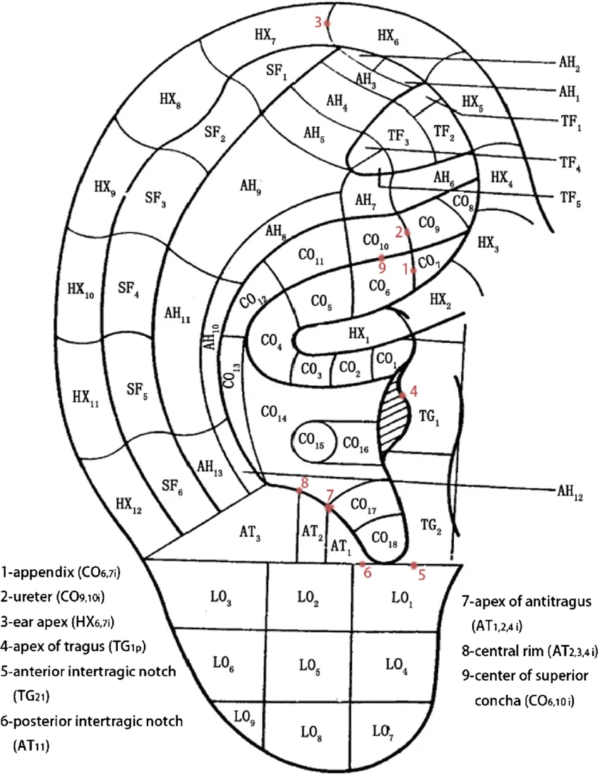Cloud&Dragon 24Gold Ear Seeds For Acupuncture Therapy Chinese Ear Seeds For Acupuncture Treatment and Therapy With Clear Tape