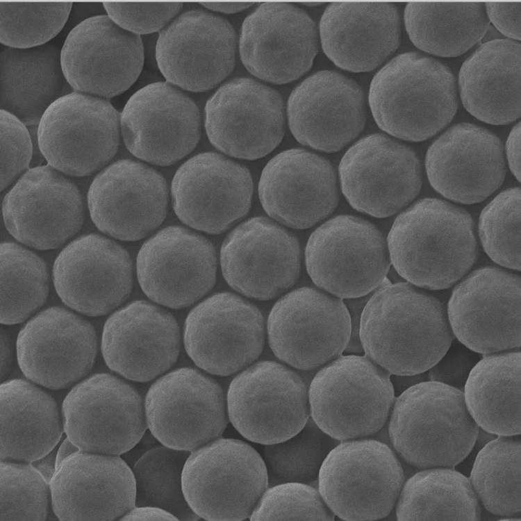 Material For  Antibody Test Kit Carboxyl MagnoMind Magnetic Bead 0.1~0.5um