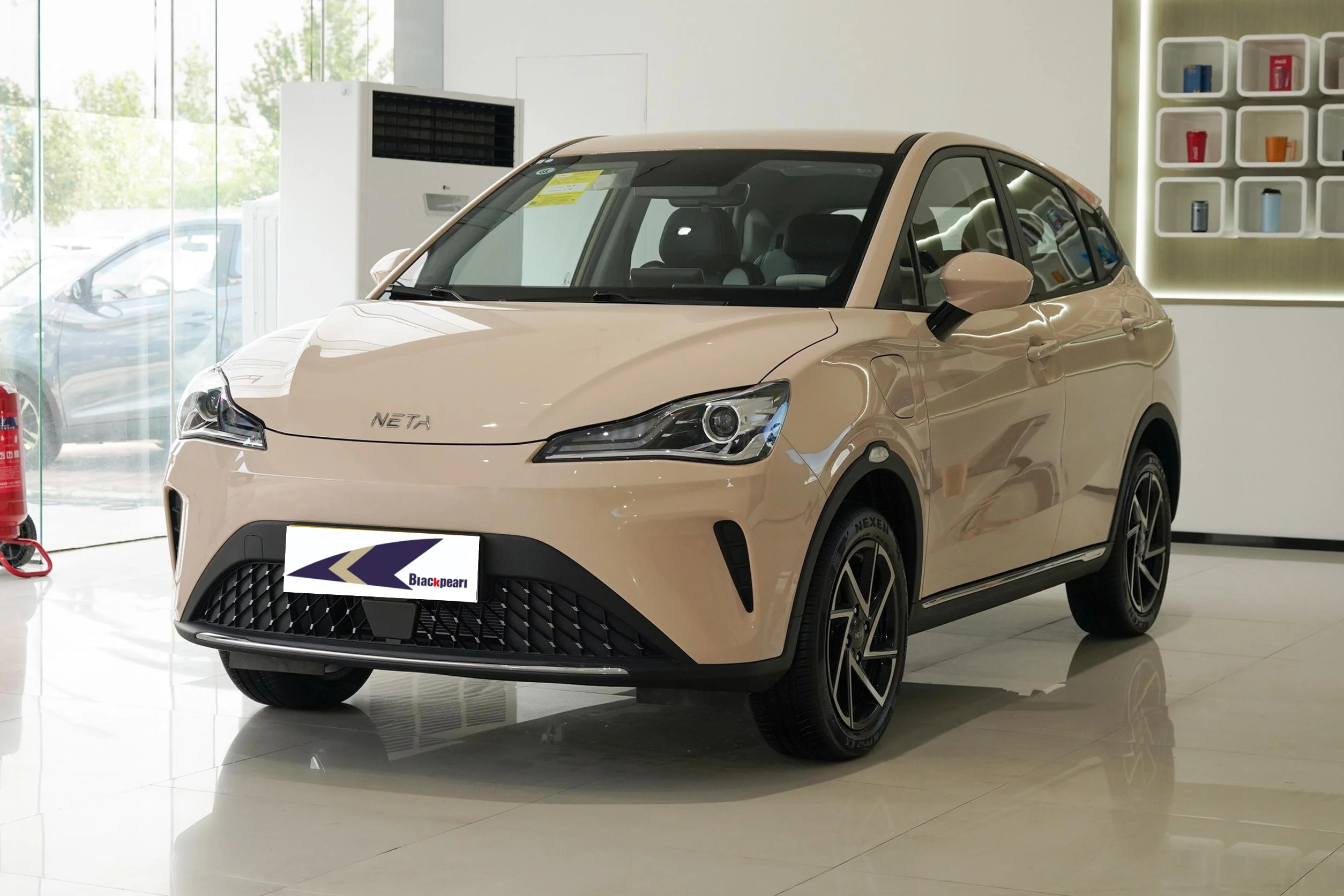 Pure Neta Ev Car China RHD Neta AYA Electric Car Right Hand Drive Ev Cars New Energy Vehicles SUV