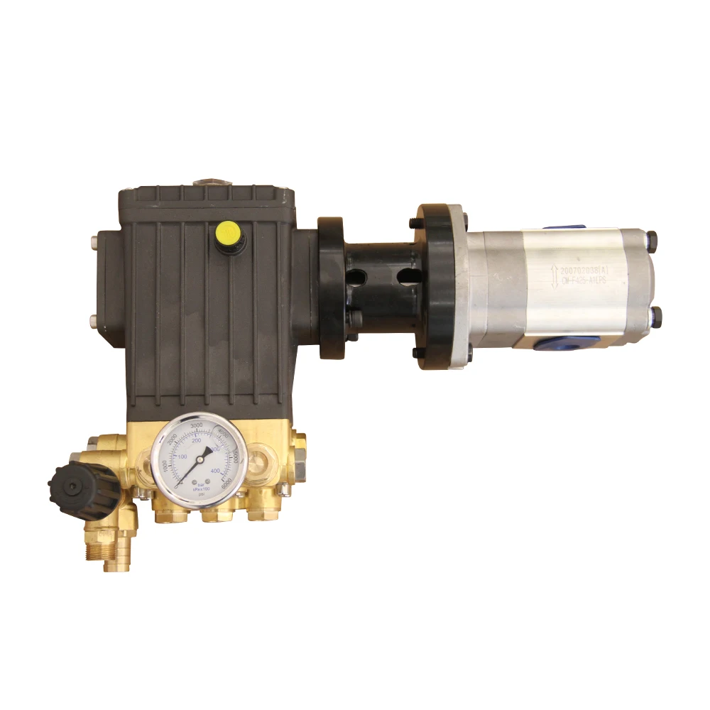 High Pressure Direct Drive Plunger Car Washer Pump With Pressure Switch Price