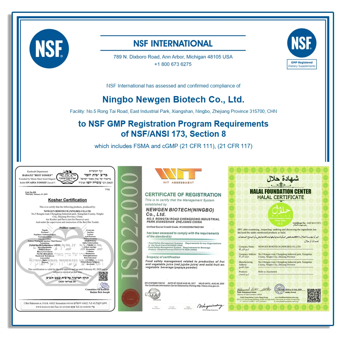 Food Grade Alpha Amylase Enzyme GMP stander