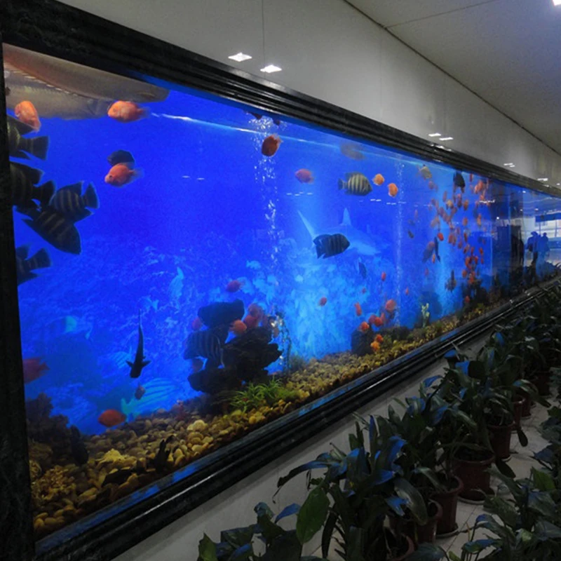 Cheap price wholesale clear round acrylic fish tanks 300 gallon large aquarium