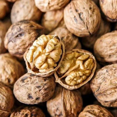 nuez factory supply xinjiang dry fruit raw walnut paper shell