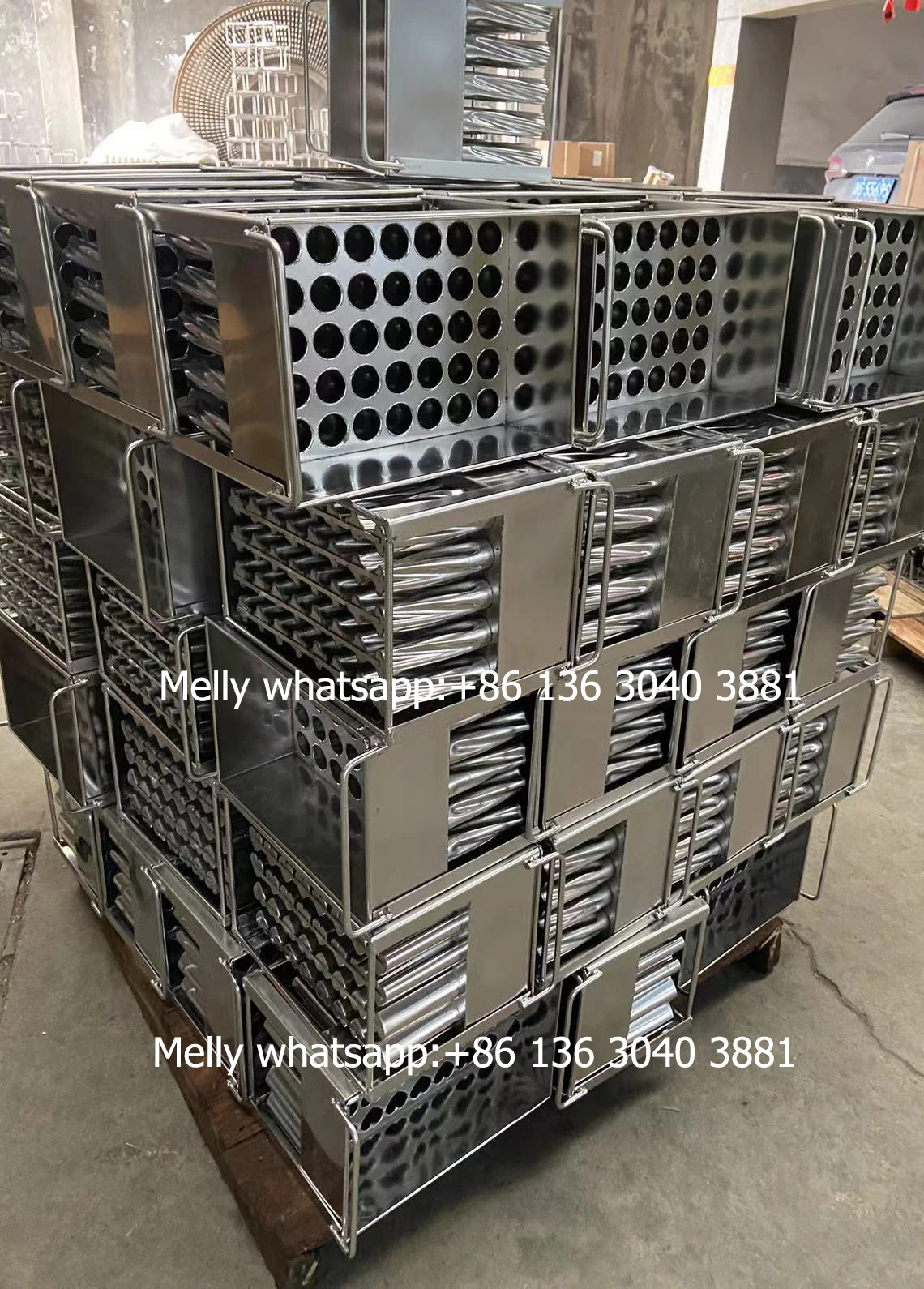 real mold-2.jpg