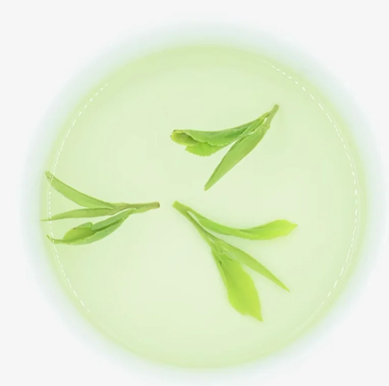 500g Yuexi cuilan Green Tea Anhui Spring Tea Ming Hou Grade Bulk Canned