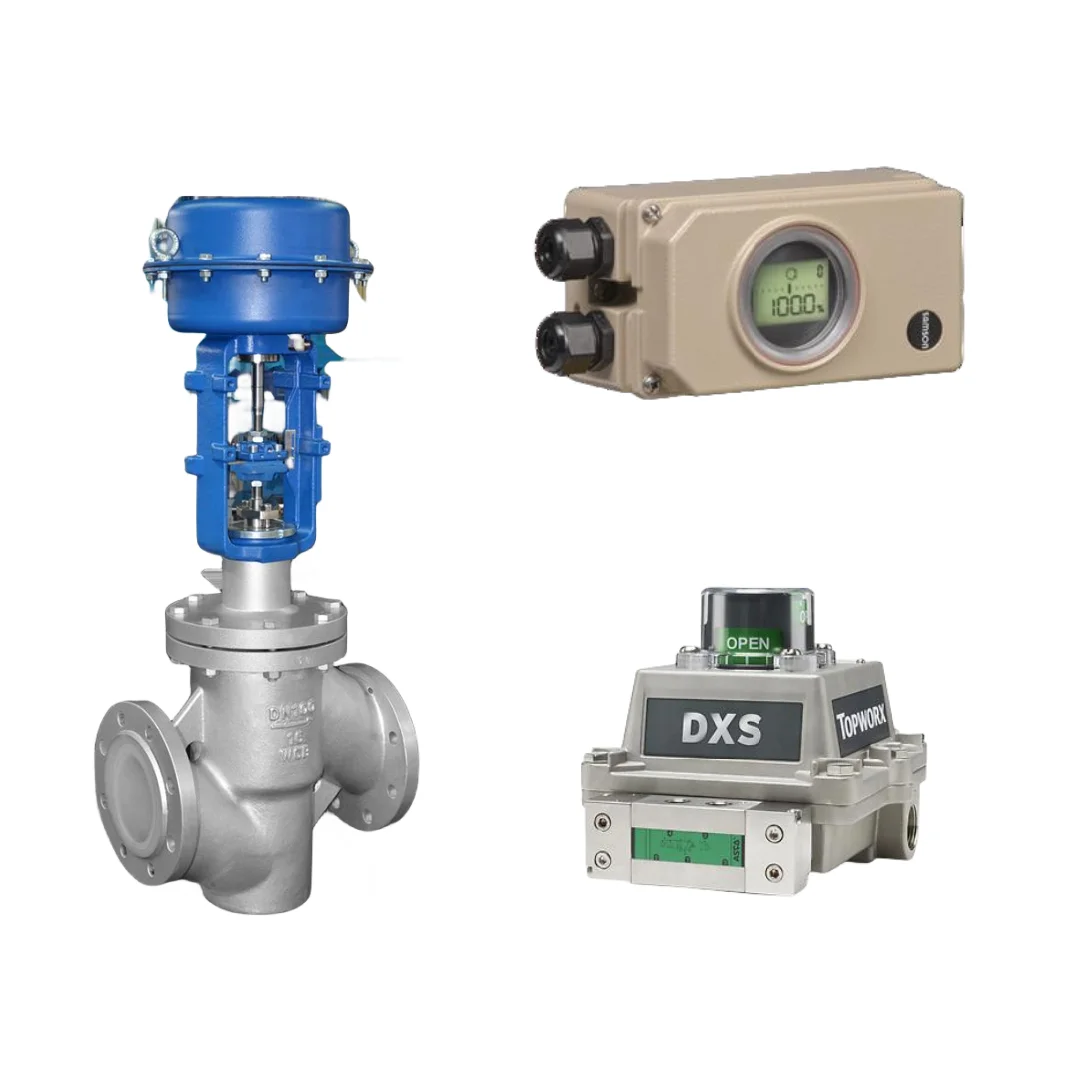 Pneumatic Control Valve With Hard Communication Samson Electropneumatic 3730-3 Positioner and EMERSON DXS Limit Switch