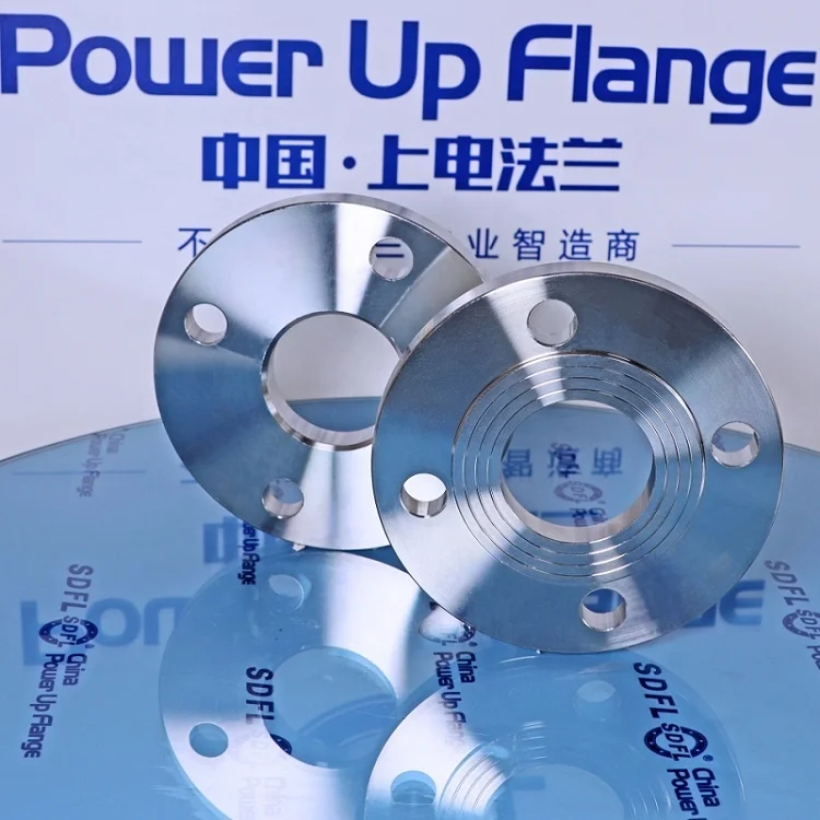 DIN 2576 pn16 304 Stainless Steel plrf Flange