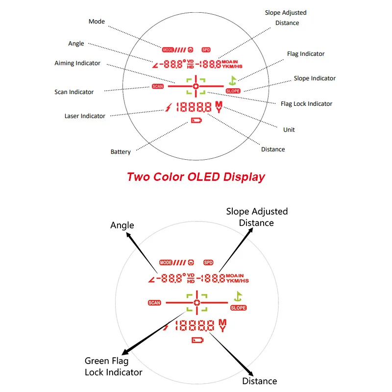 OLED Display-2.jpg