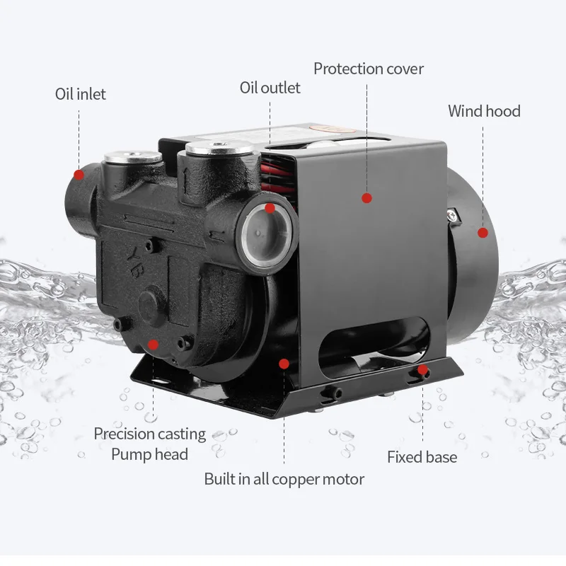 Zheming DC 24 Volt Electromagnetic Electric Portable Diesel Fuel Transfer Car Oil Change Pump