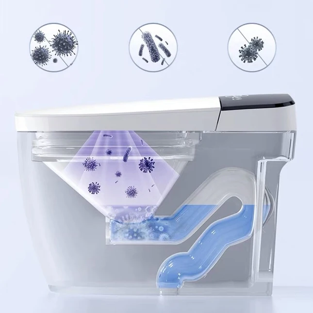 FREE SHIPPING TA00X81Bathroom Products Smart Toilet Sanitary Ware Electronic Concealed Smart Wc Toilet With Remote