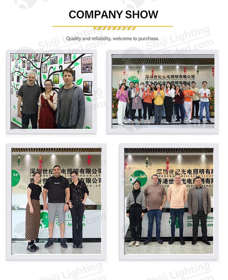 SHIJI UCS2904 RGBW (21)