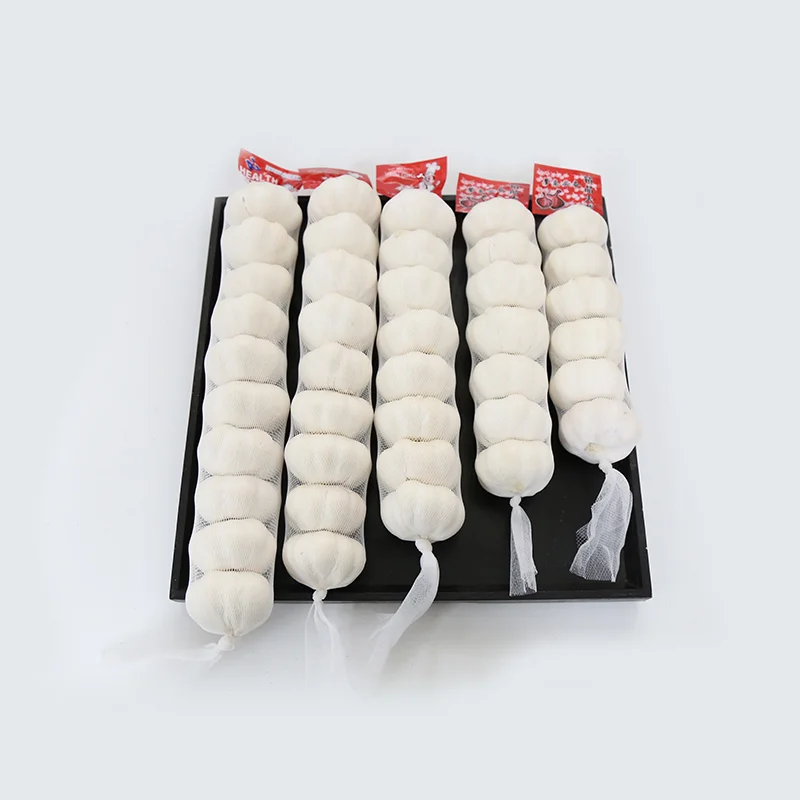 Alho Fresco 10kg Box Packing Fresh China 2023 Crop Garlic Price