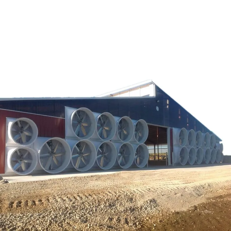Waterproof Prefabricated Steel Structure Cow Shed for Livestock Farming Cattle Barn
