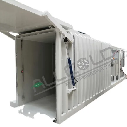 Other refrigeration & heat exchange equipment fresh picked leafy vegetables vacuum cooling machine