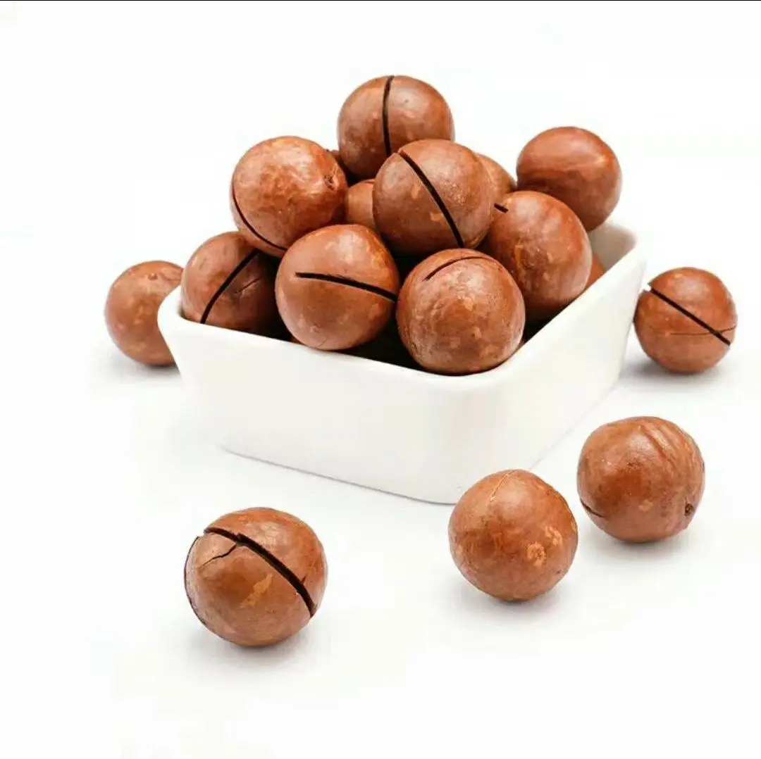 Cheap Wholesale And Raw organic chinese Macadamia nuts For Sale Tasty And Nutritional