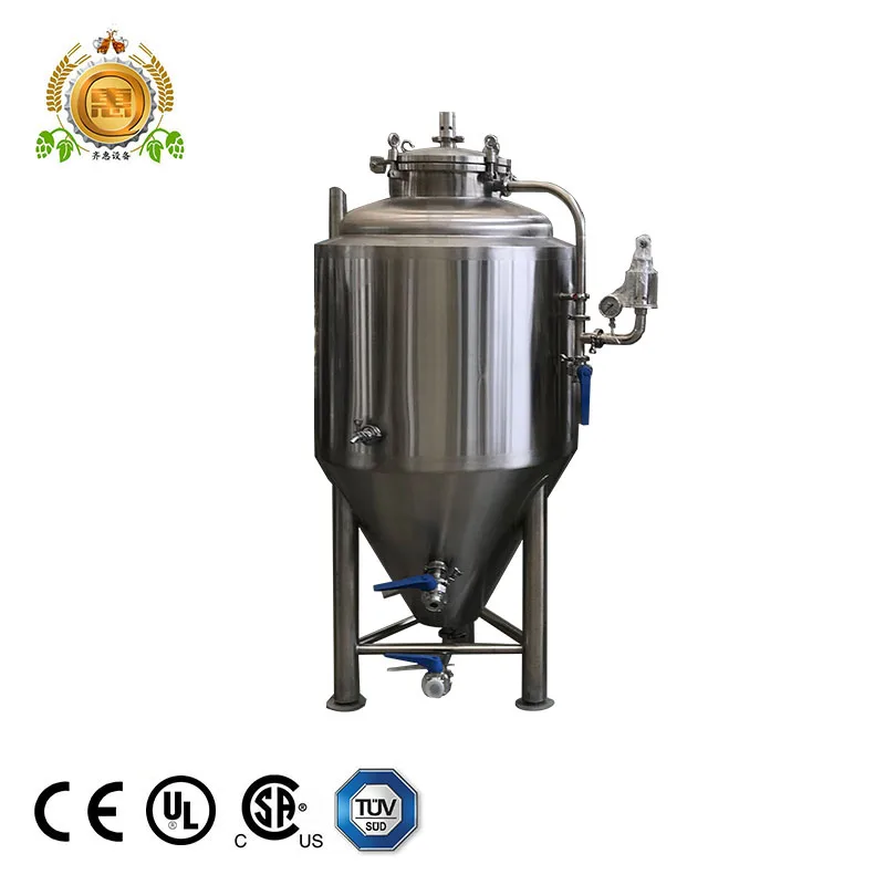 
micro brasserie 200l 