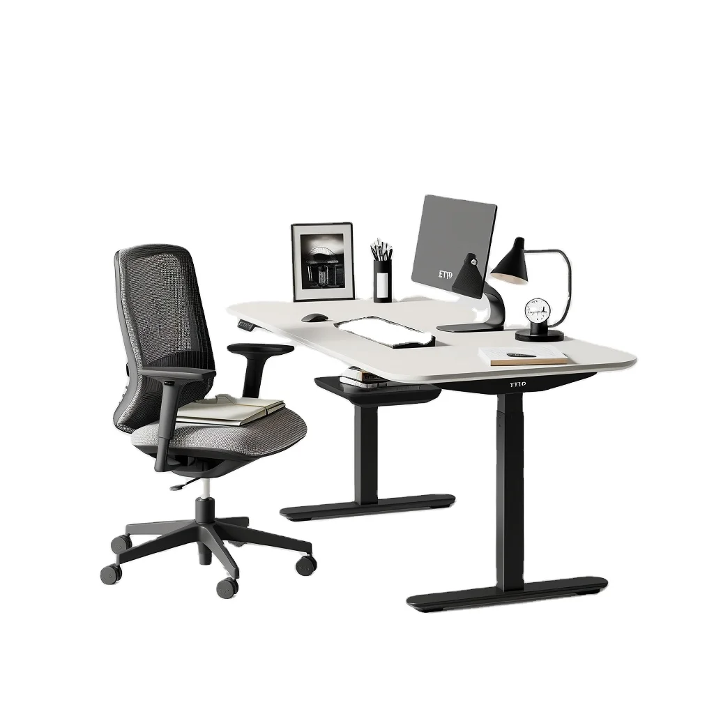 Direct Sales High Quality Promotional Office Table Height Adjustable Desks Computer Game Electric table Home Furniture Modern