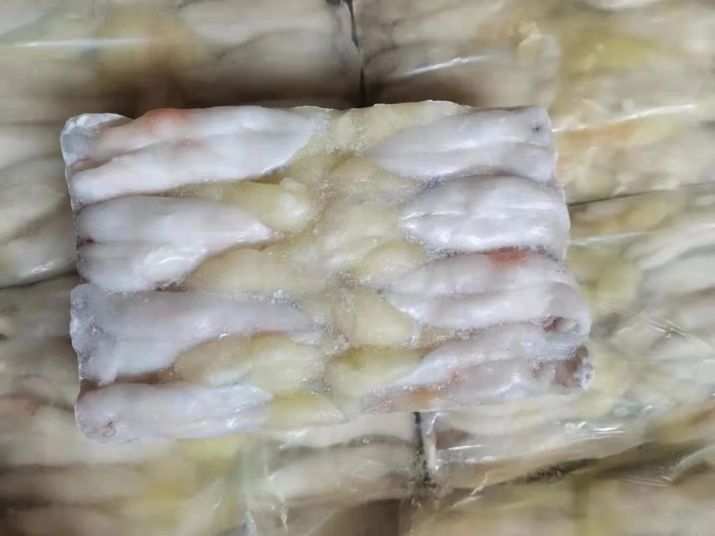 Новое приземляющееся яйцо кальмара для продажи замороженные икры каламари