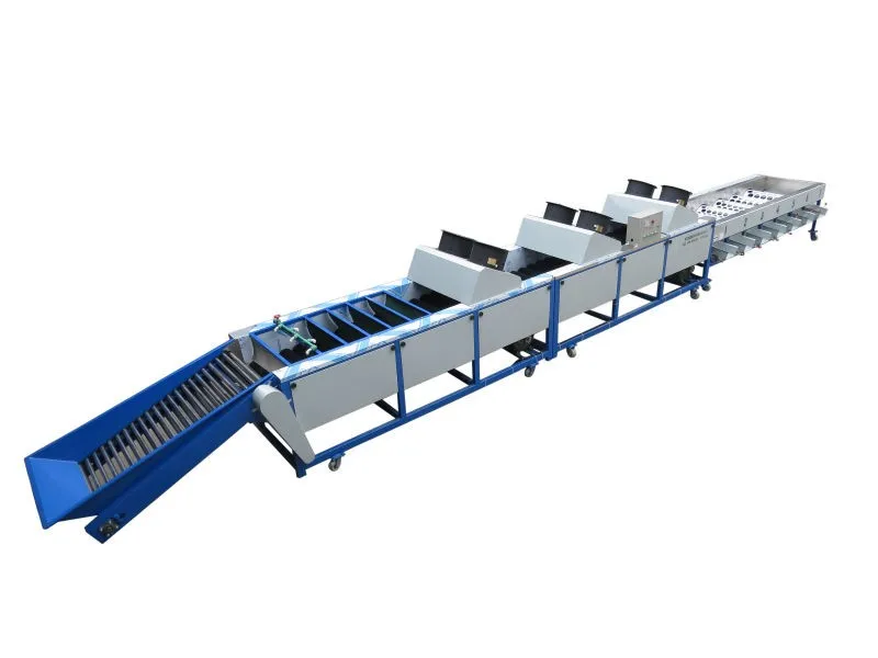 304 Stainless steel fruits grading machine pear sorting machine