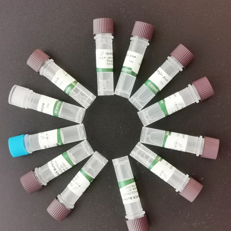 Wholesale enzyme specific reagents taq dna polymerase(with Mg2+)