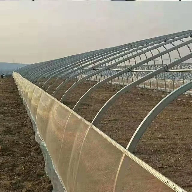 Winter Warm Greenhouse Chinese Plastic Energy Saving In-Solar Greenhouses