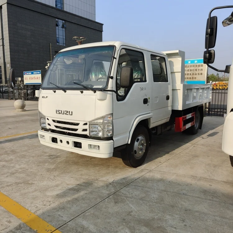 Hot Sales High Quality ISUZU Dump Truck 4x2 Dumper Tipper Truck with Double Row Seat