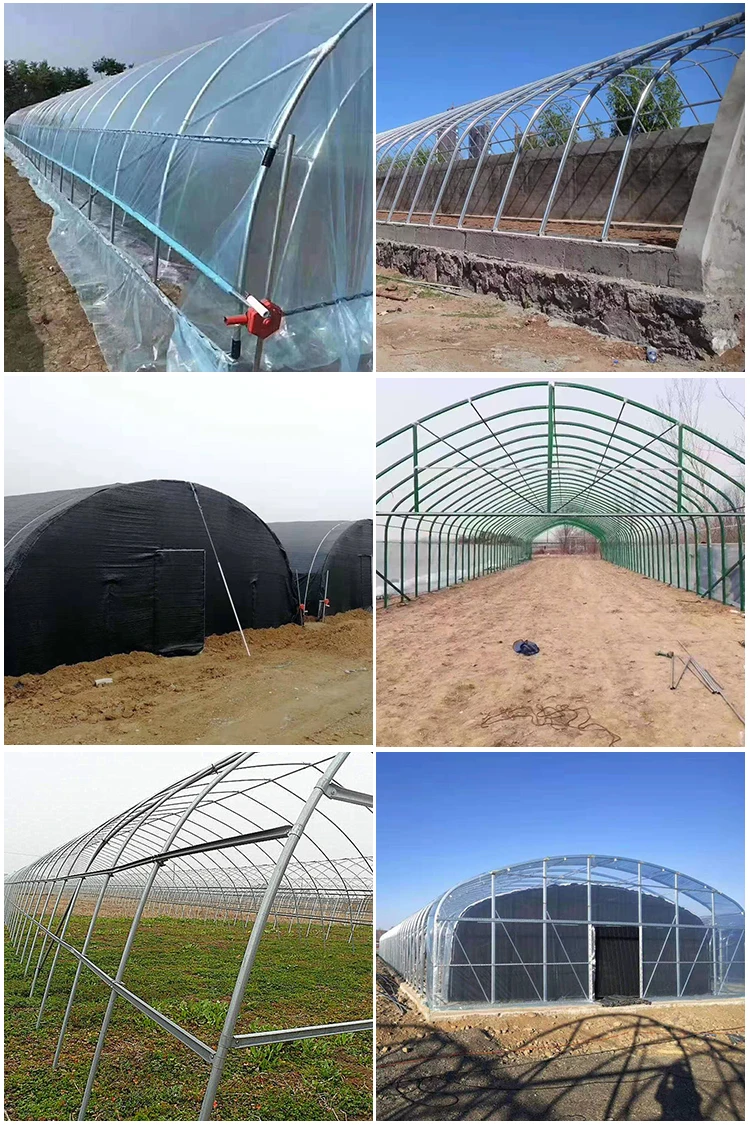 Cheap Tomato Agricultural Plastic Film Cover Low Cost Economic Tunnel Greenhouse for Vegetable